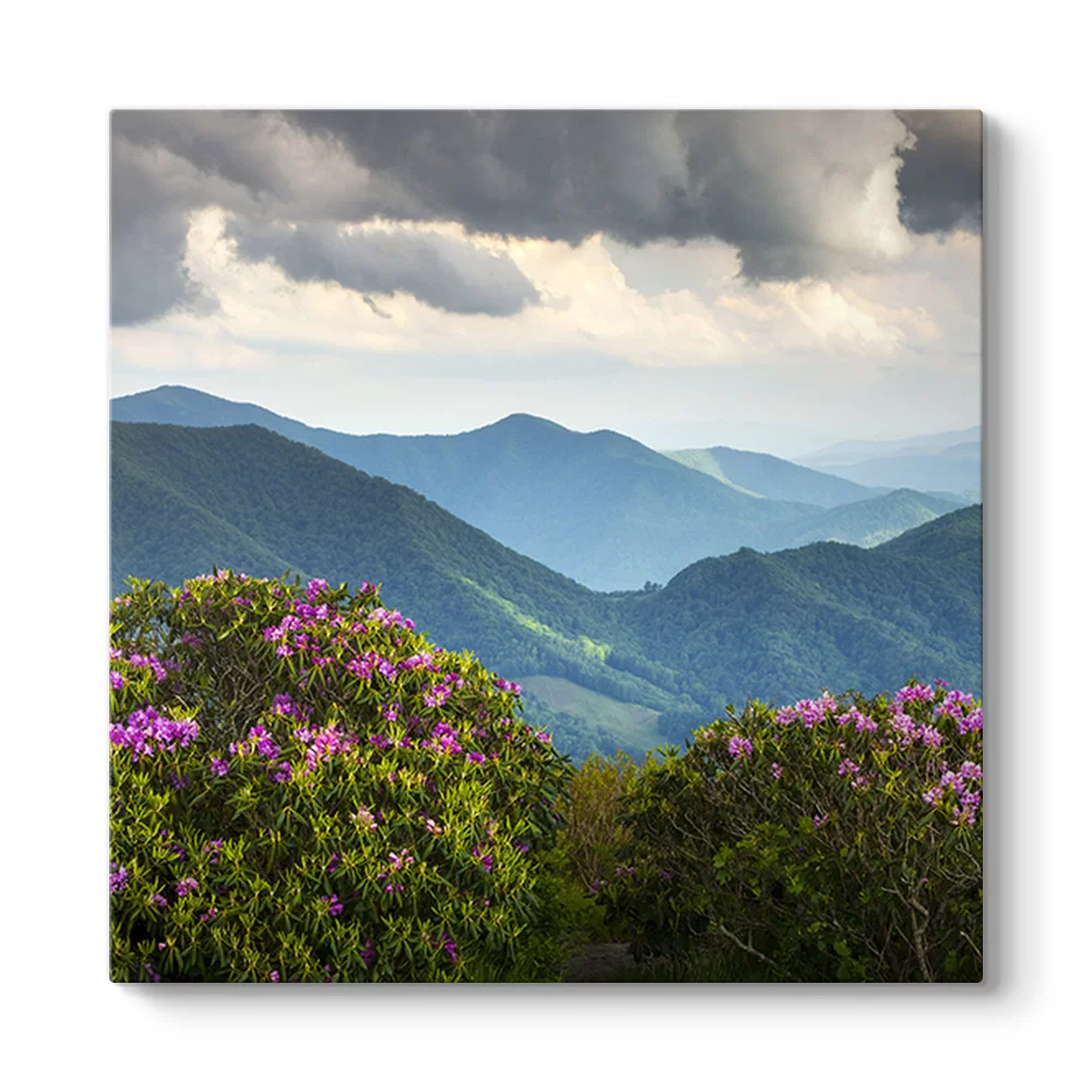 Blue Ridge Dağları Tablosu - Model 3